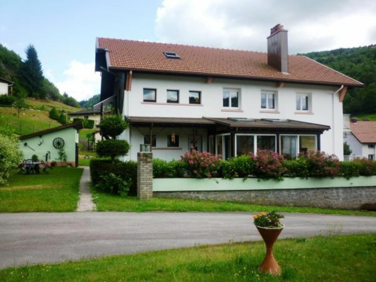 Gite Chaleureux A La Bresse Avec Terrasse, Barbecue Et Proche Des Pistes De Ski - Fr-1-589-189 Zewnętrze zdjęcie