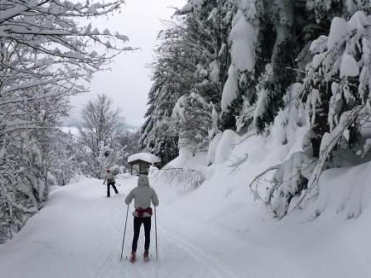 Gite Chaleureux A La Bresse Avec Terrasse, Barbecue Et Proche Des Pistes De Ski - Fr-1-589-189 Zewnętrze zdjęcie